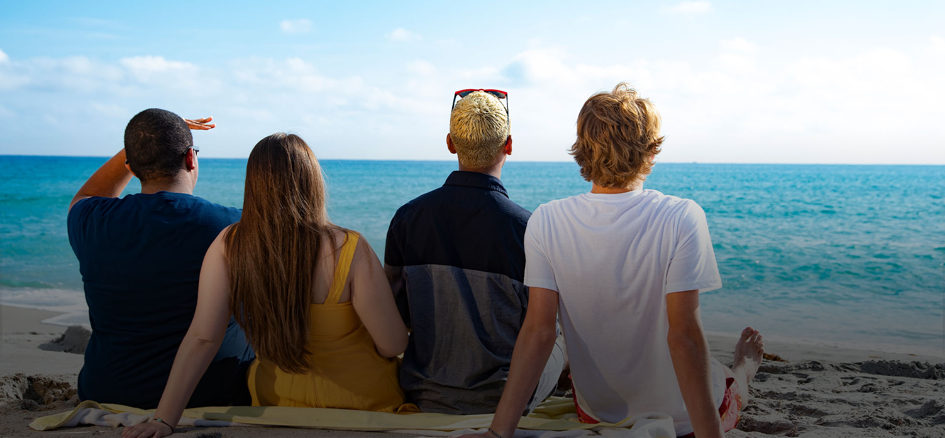 Access Program Banner 2