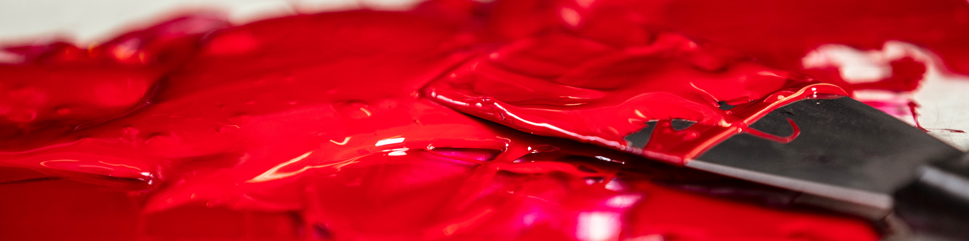 Florida Atlantic University Comparative Studies Program