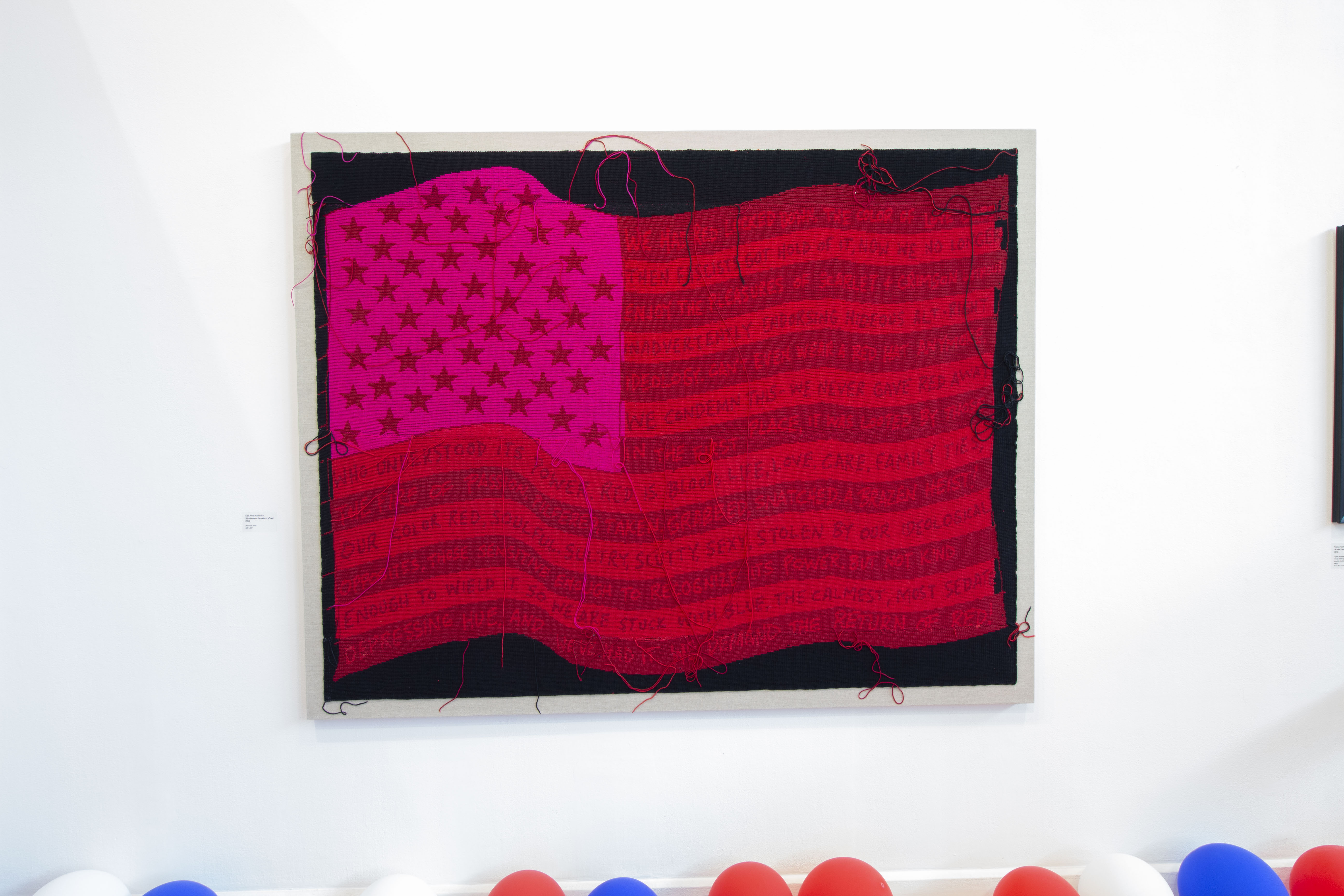 political circus 2024 image 2