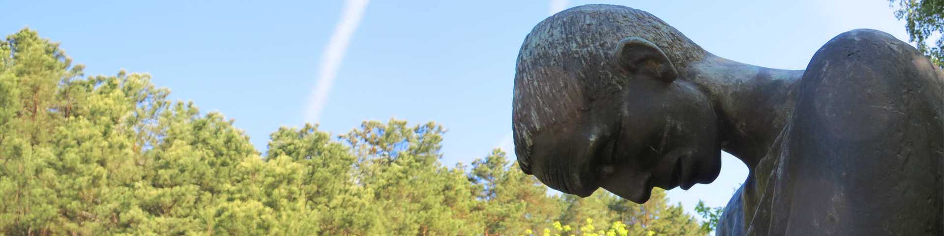 Banner for Weiner writing contest