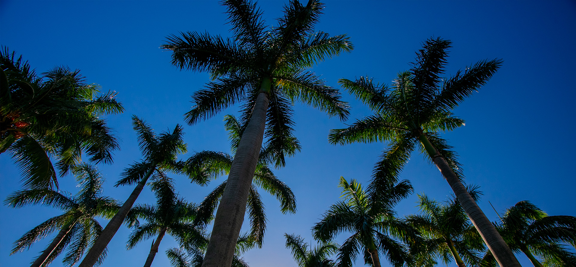 Advocating For Justice