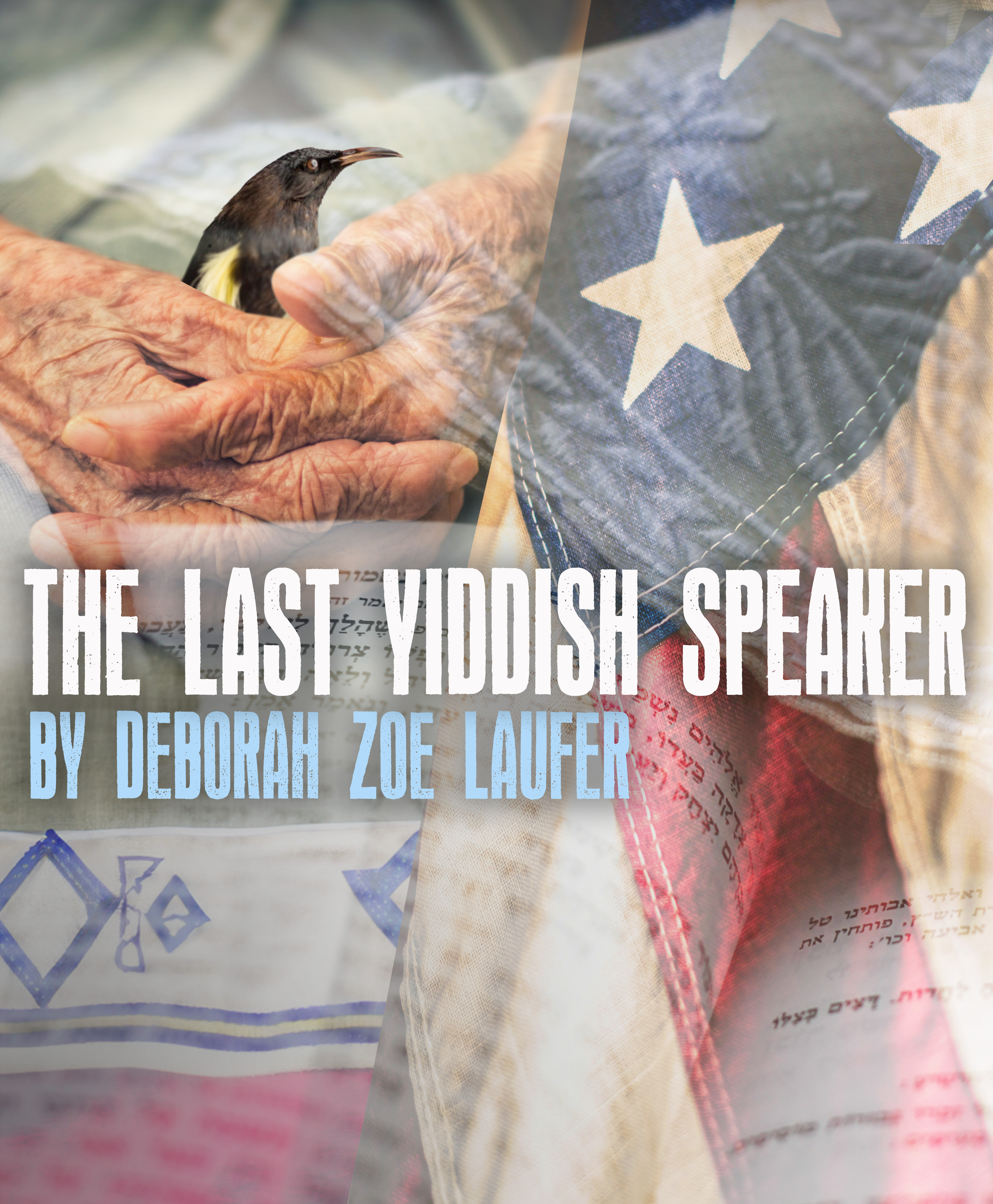 The Last Yiddish Speaker
