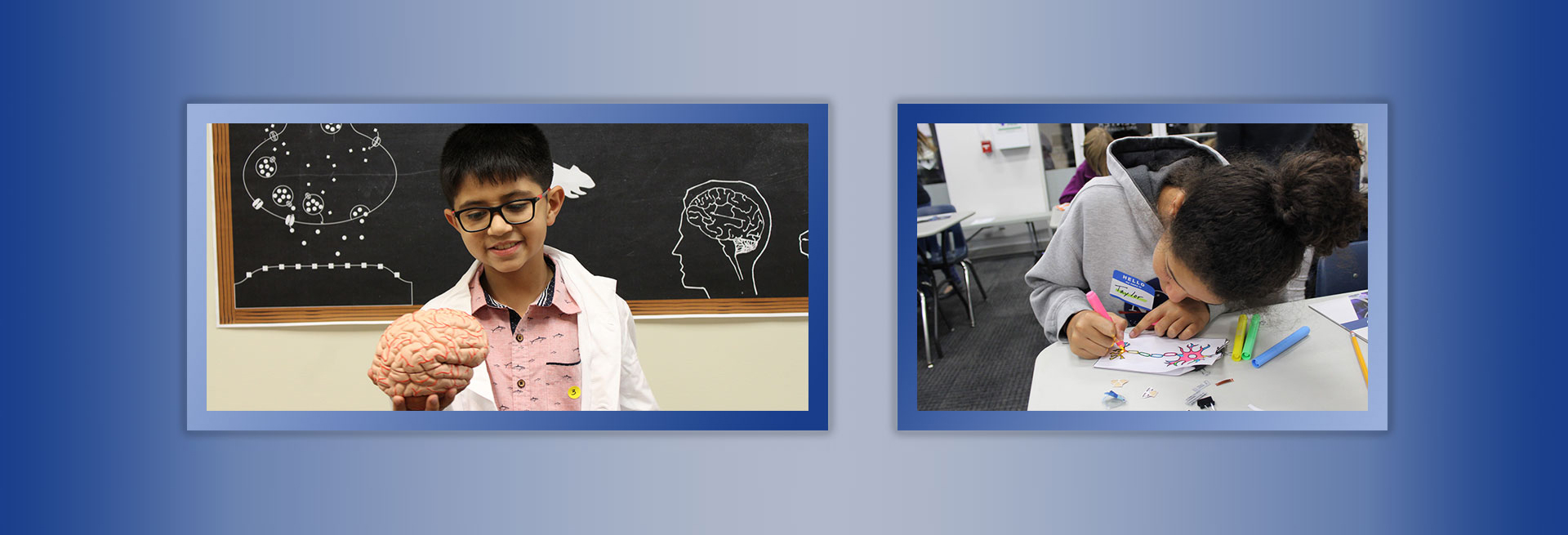 Child holding brain model and student coloring neuroscience worksheet