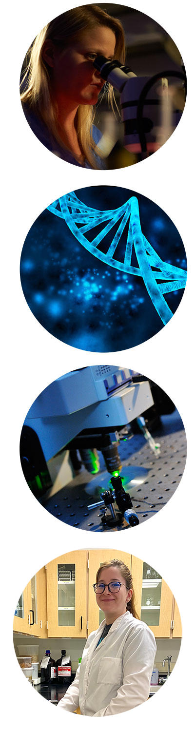 faq three round images of students doing research