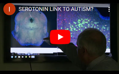 watch video about Serotonin Link to Autism