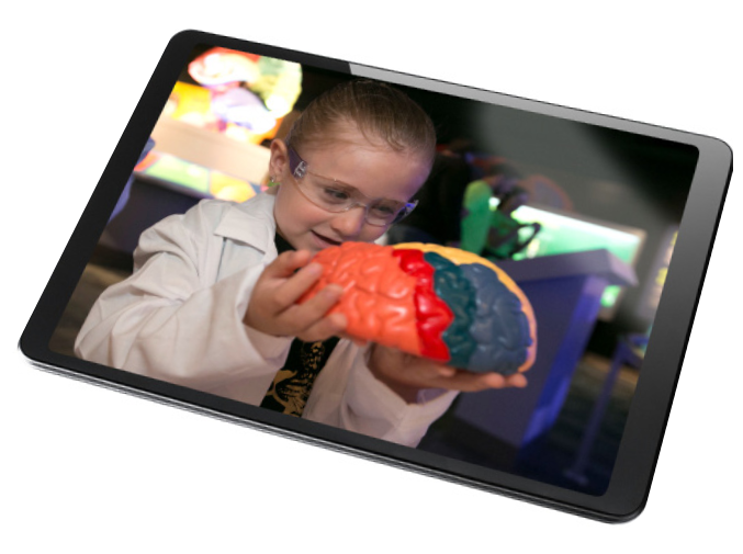 brain science in your pocket