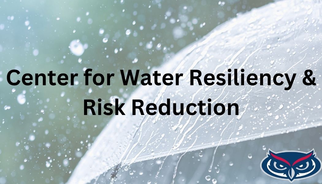 Rain falling on a leaf