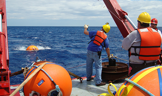 太阳城娱乐 Body Armor