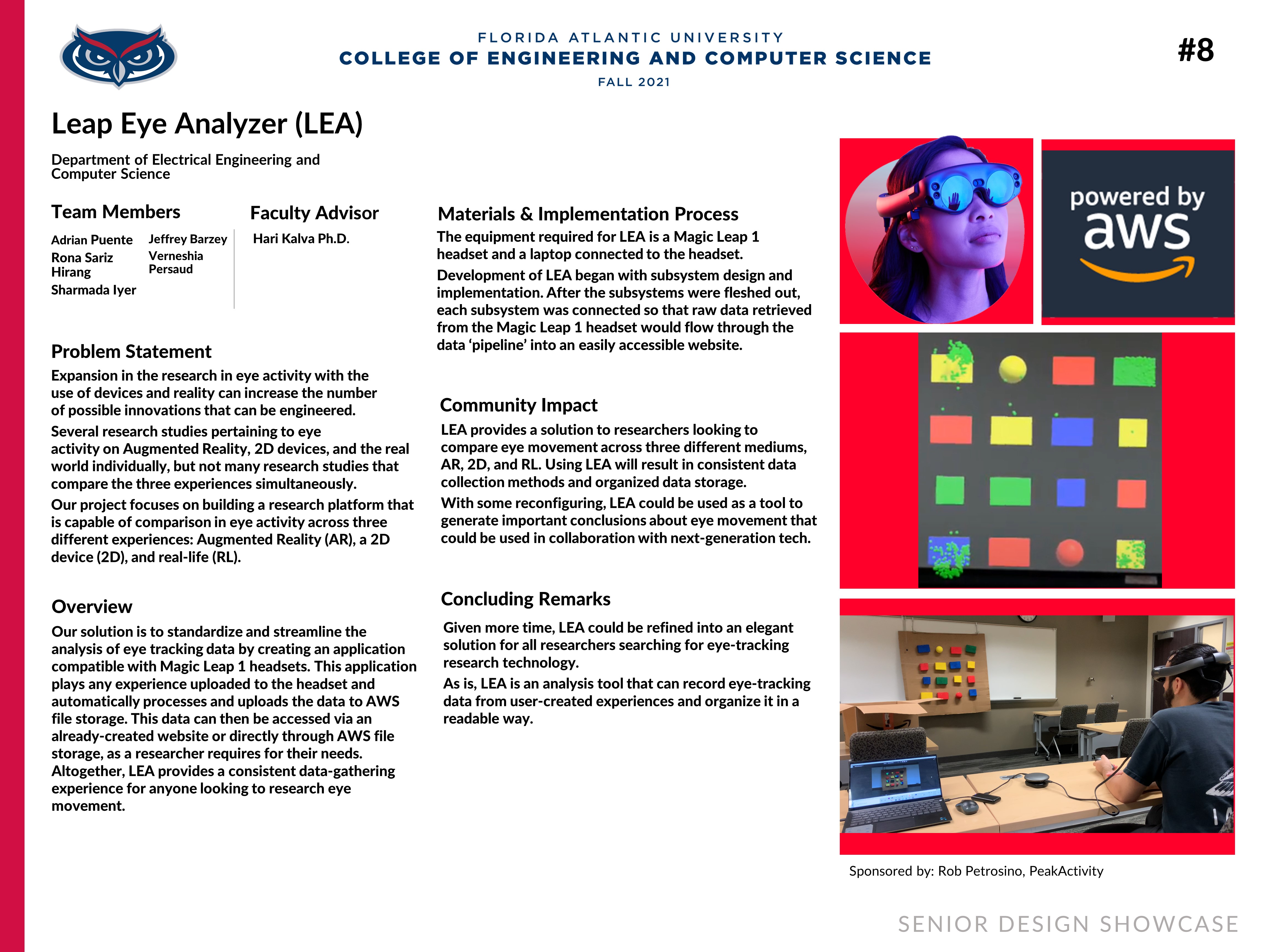 Leap Eye Analyzer (LEA)