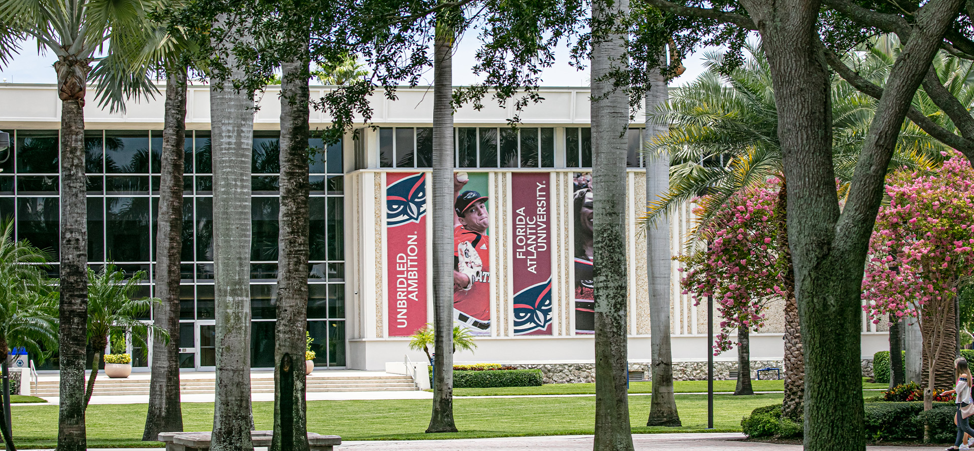 Carousel Placeholder