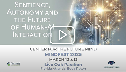 Susan Schneider presentation