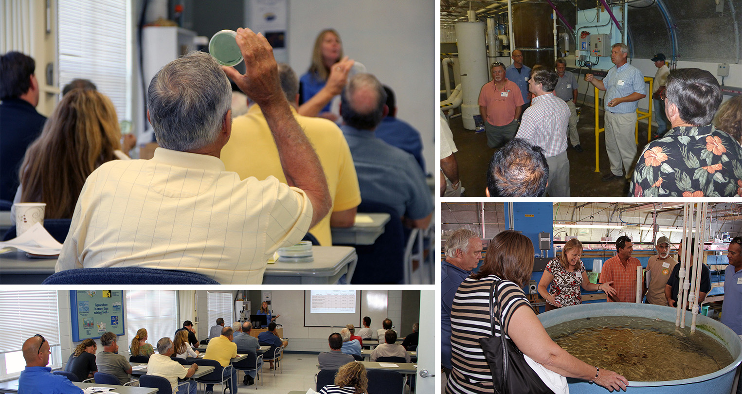 AQ Workshops pic banner