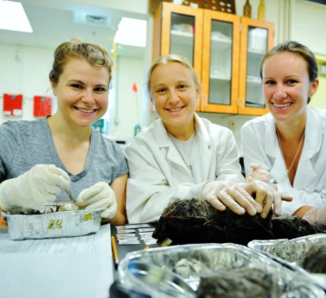 go to environmental science page