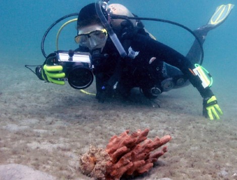 go to marine science and oceanography page