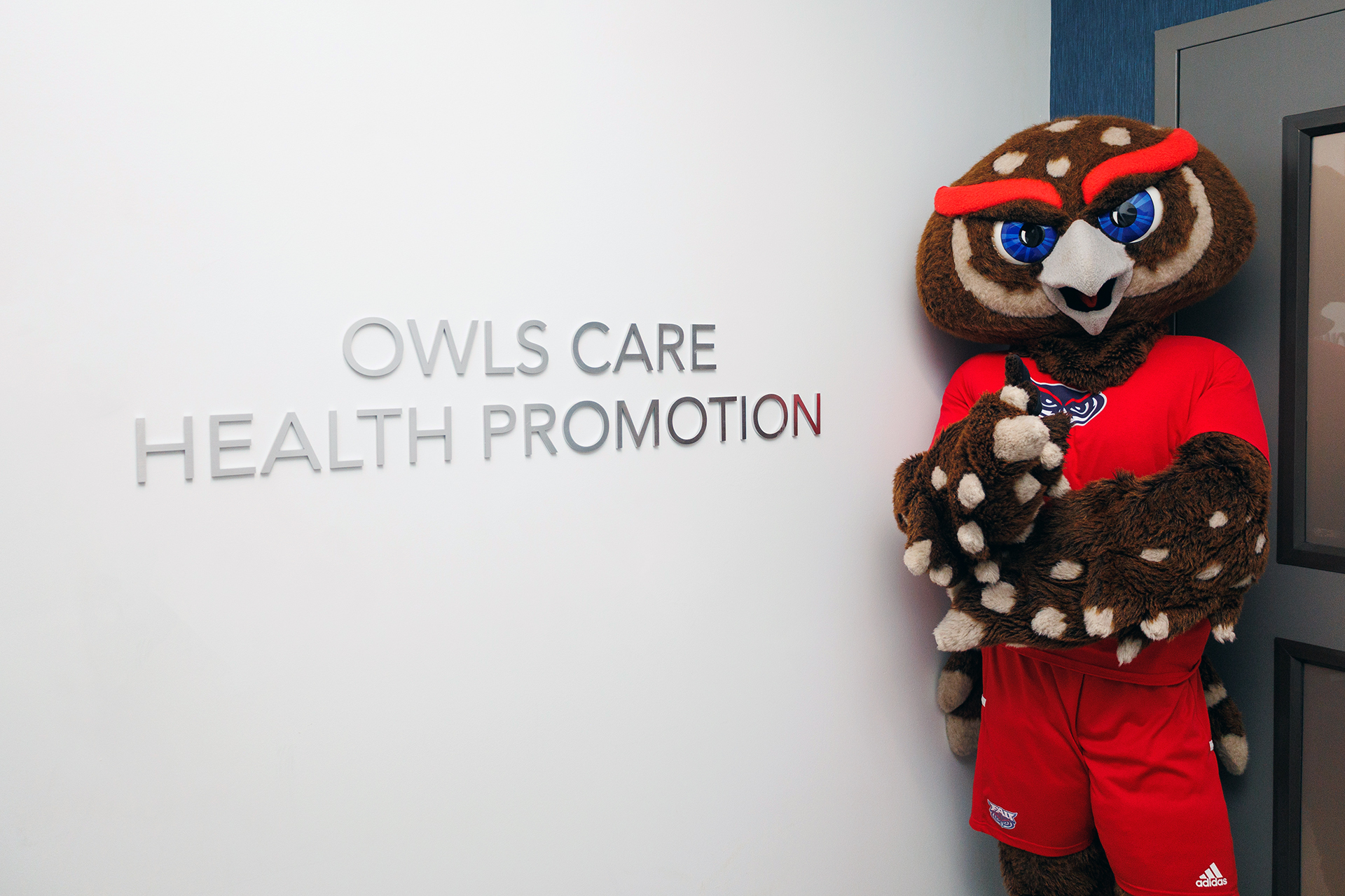 Owlsley standing next to Owls Health Care Promotion text