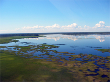 Dr. Susan Richardson