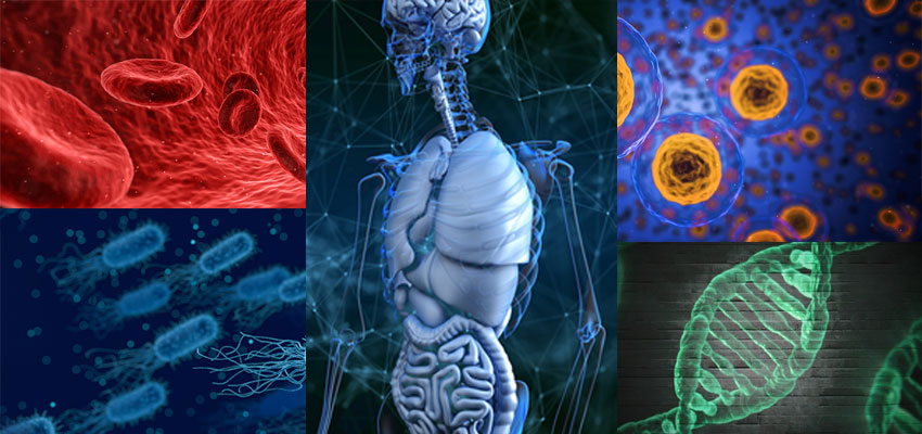 five squares containing medical images - cells, dna, skeletal, bacteria, blood