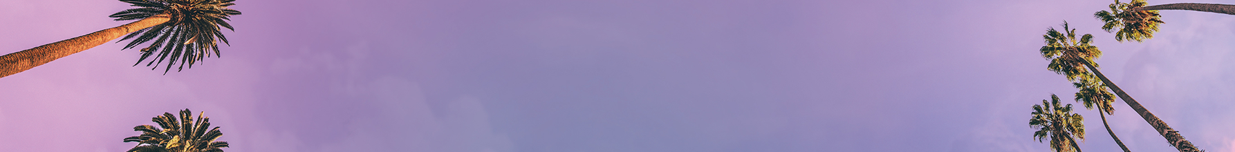 View of the sky with palm trees