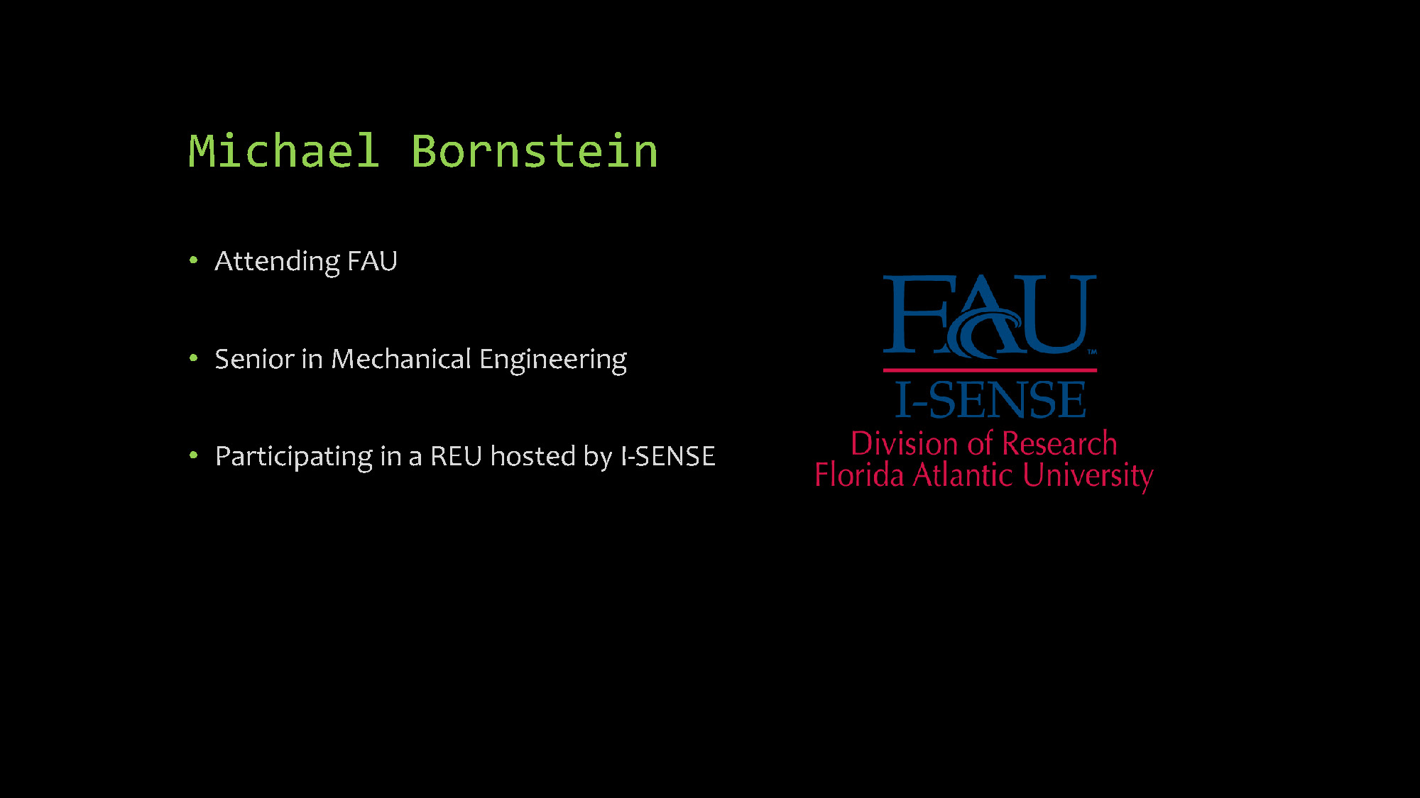 Slide 2: About Michael Bornstein background information
