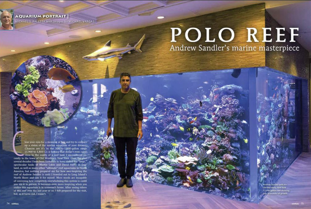 Andrew Sandler CORAL Magazine