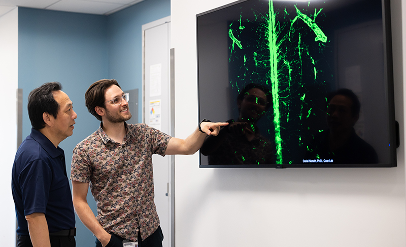 two people looking at science image on large monitor