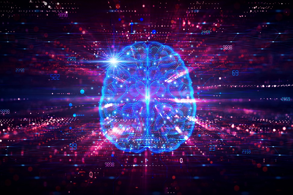 Brain, Neuroscience, Brain Health