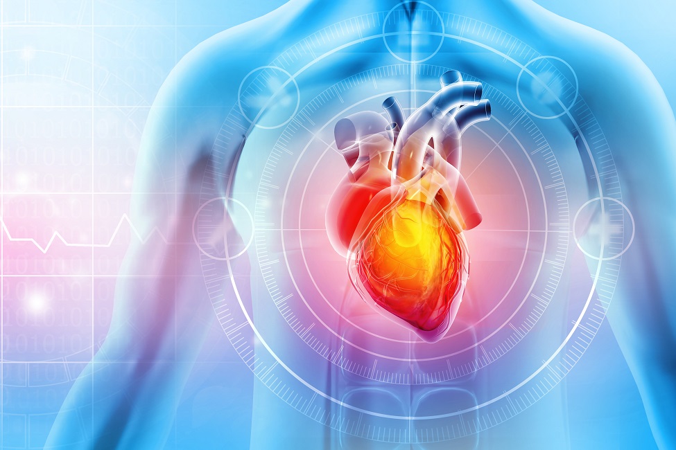 Heart, Heart Failure, Fatigue, Study