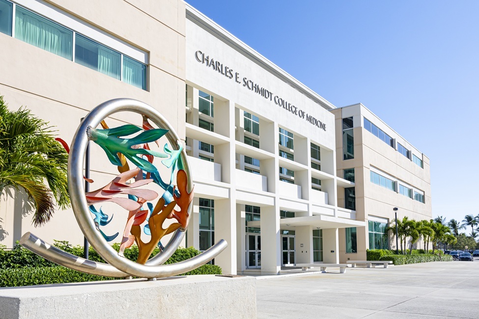 Single Drug Shows Promise to Treat PTSD, Pain, and Alcohol Misuse