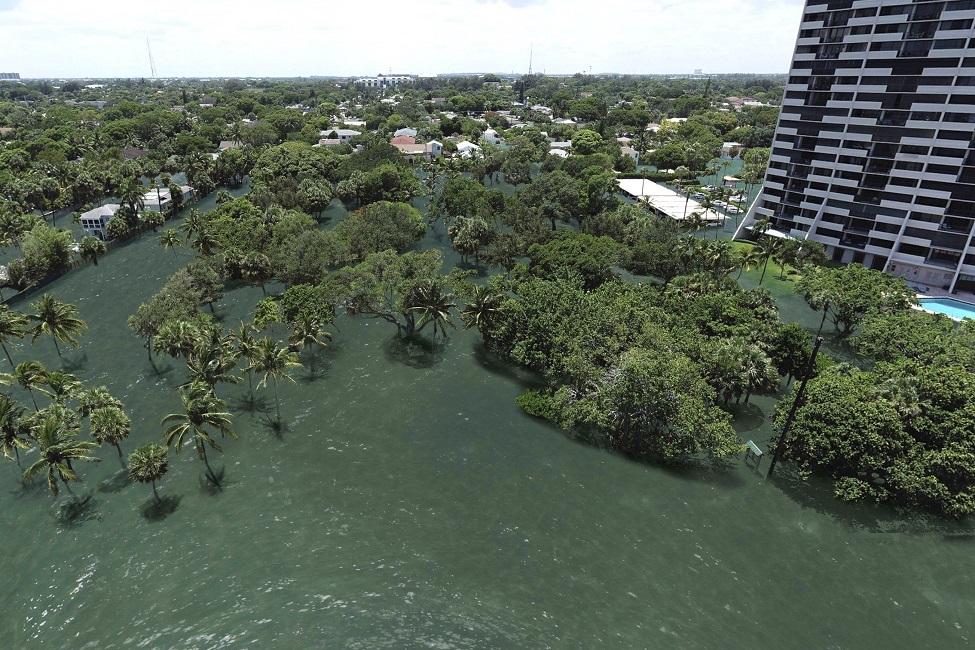 Osprey Park, City of West Palm Beach, Simulation, Flooding, Sea Level Rise, Category 5 Hurricane, Virtual Reality, VR 