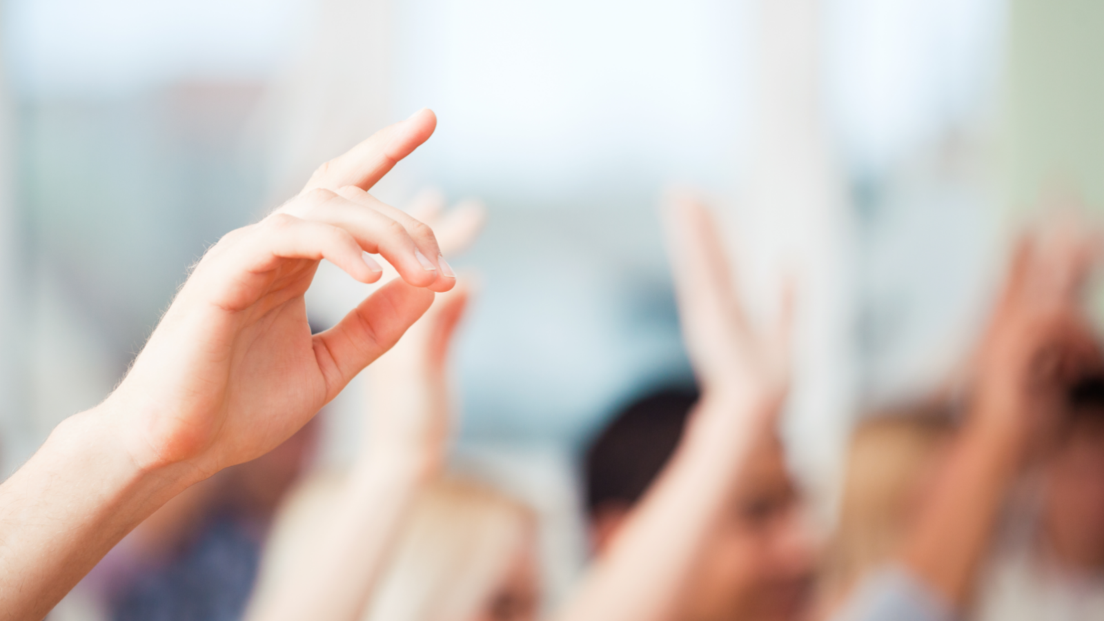 frequently asked questions background