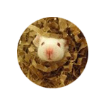 Paper Nesting Material or Bedding