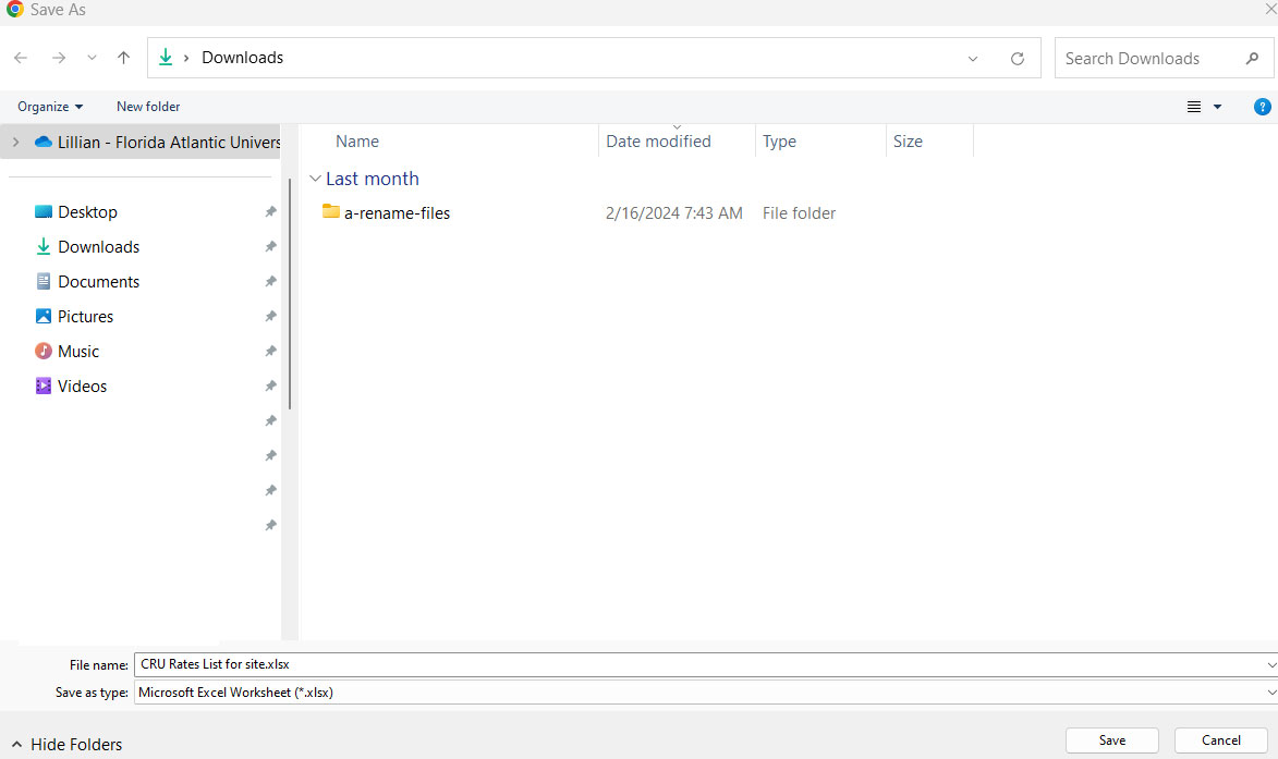 downloads directory screenshot