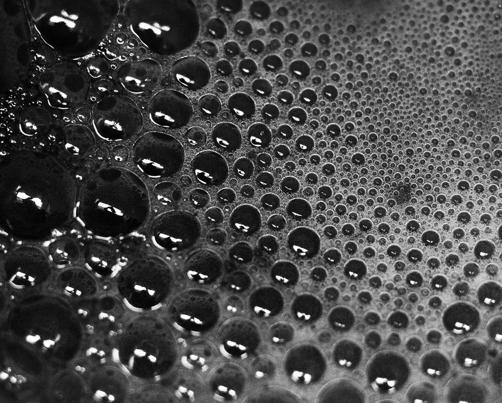 2019 photo contest round 2 finalist