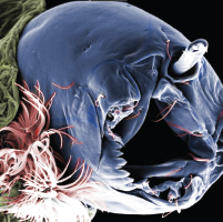 photo contest winner