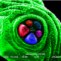 photo contest winner