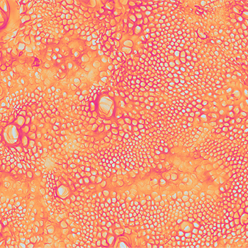 2021 photo contest Hydrogel