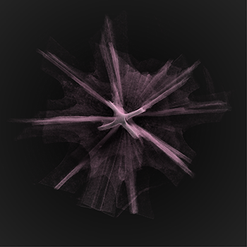 2021 photo contest Starry Skeleton