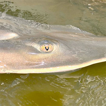 2023 photo contest Trending Looks