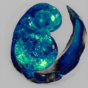 Seventh Annual photo contest winner Origin Story