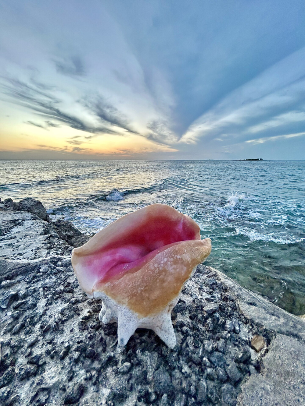 Photo contest - Conch Sunset - adult queen conch shell