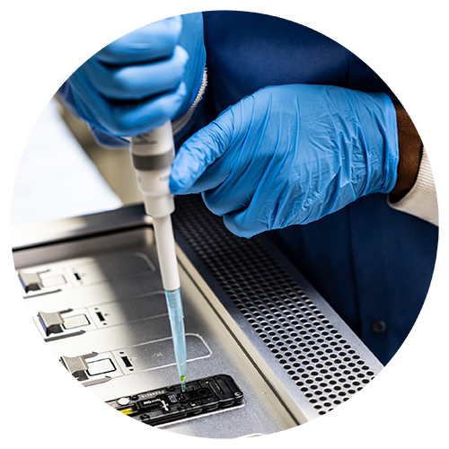 gloved hands holding dropper in lab