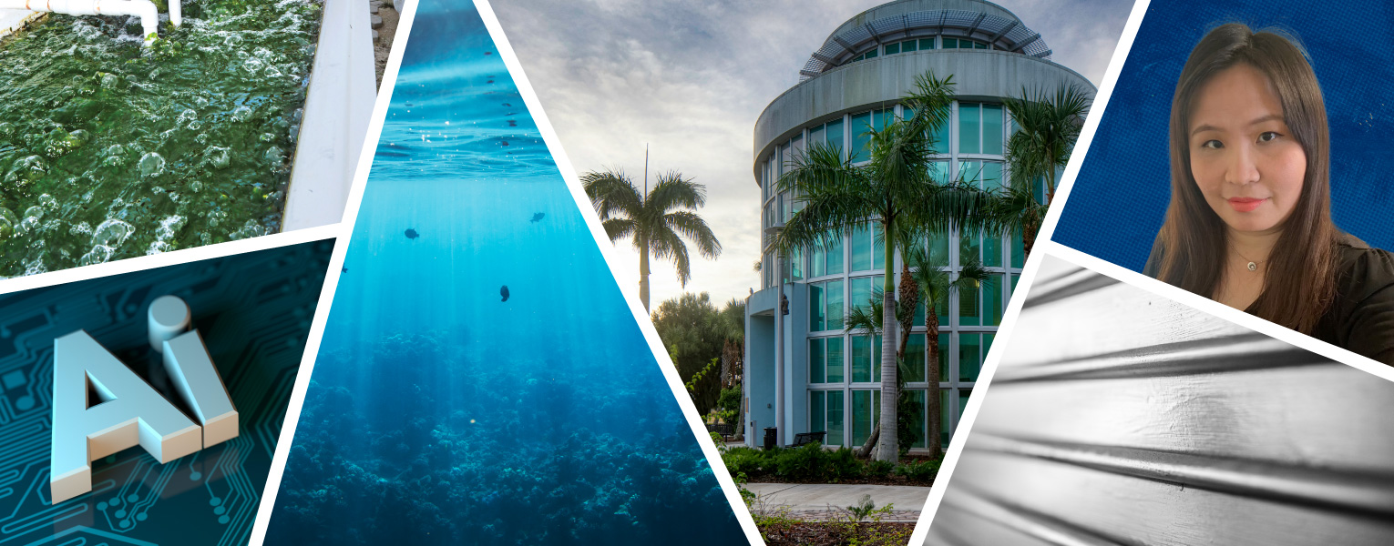 For the Love of Robots