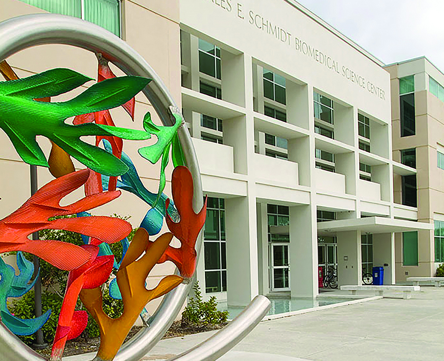 Combining Three Passions to Lead the College of Medicine