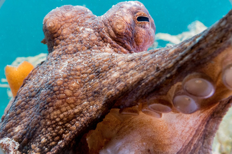 200多个参赛作品…一个赢家