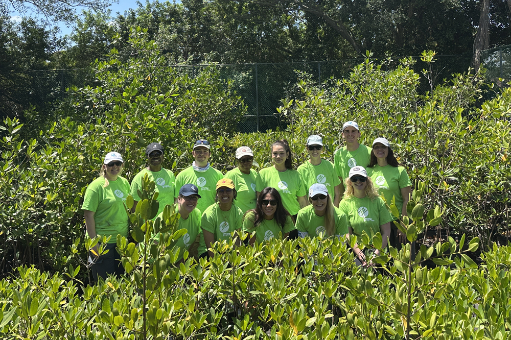 Conserving Sea Cows and Seagrass Meadows: Meet Manatee Master and Ph.D. Student Ana Arevalo Cardona  