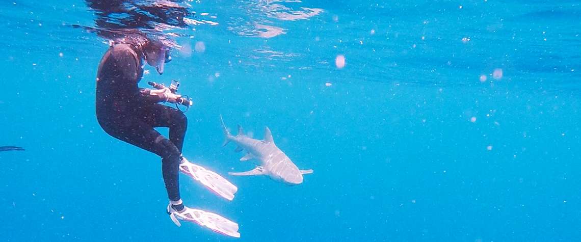 deborah azevedo shark dive