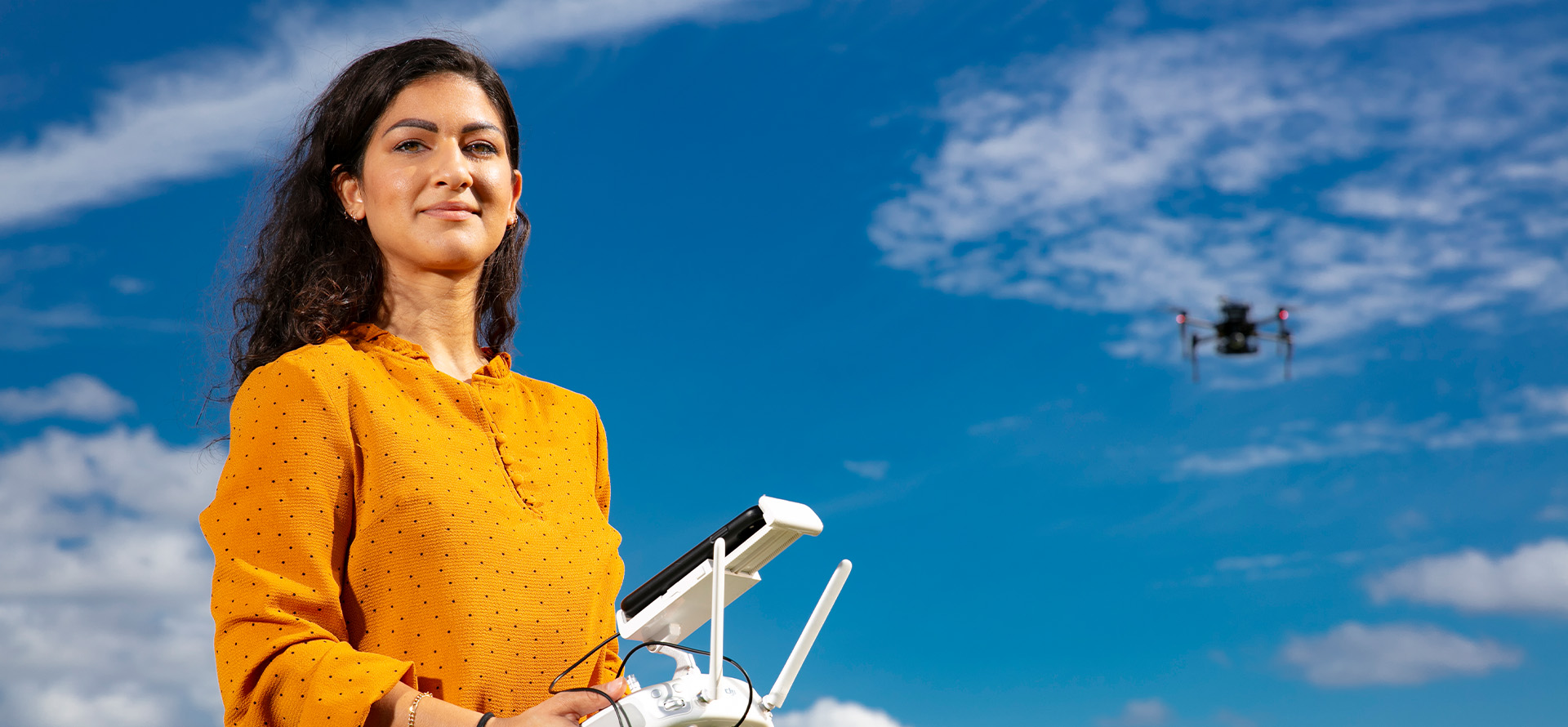 Cybersecurity Expert