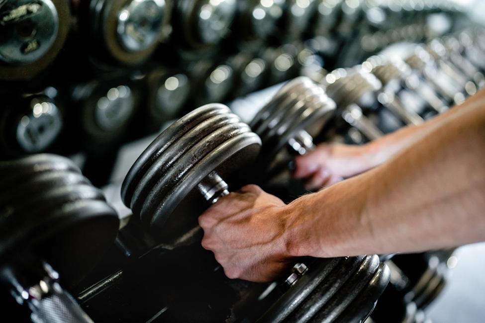 New research from Florida Atlantic University’s Charles E. Schmidt College of Science shows that when it comes to building muscle and gaining strength, less might actually be more.