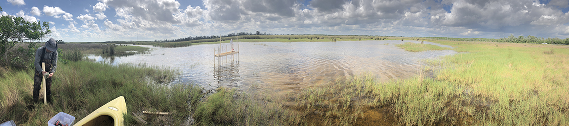 PRESERVING EVERGLADES NATIONAL PARK: PEAT SOILS AS A KEY TO UNDERSTANDING CLIMATE CHANGE AND SAVING ‘RIVER OF GRASS’