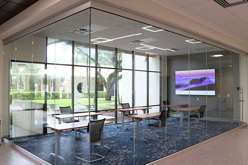 Coconut Palm and Tiger Palm